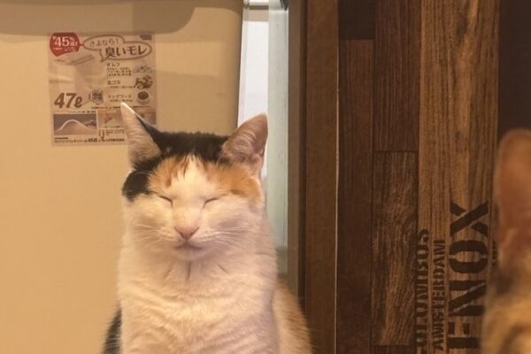 焼肉すずやからのお知らせです！